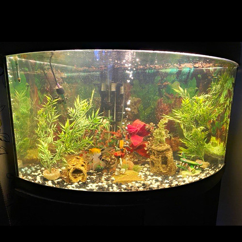 Fluval 107 external canister - fluval,
