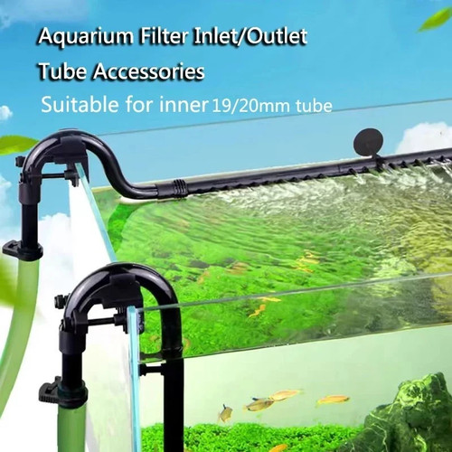 Aquarium filter inlet - aquarium,